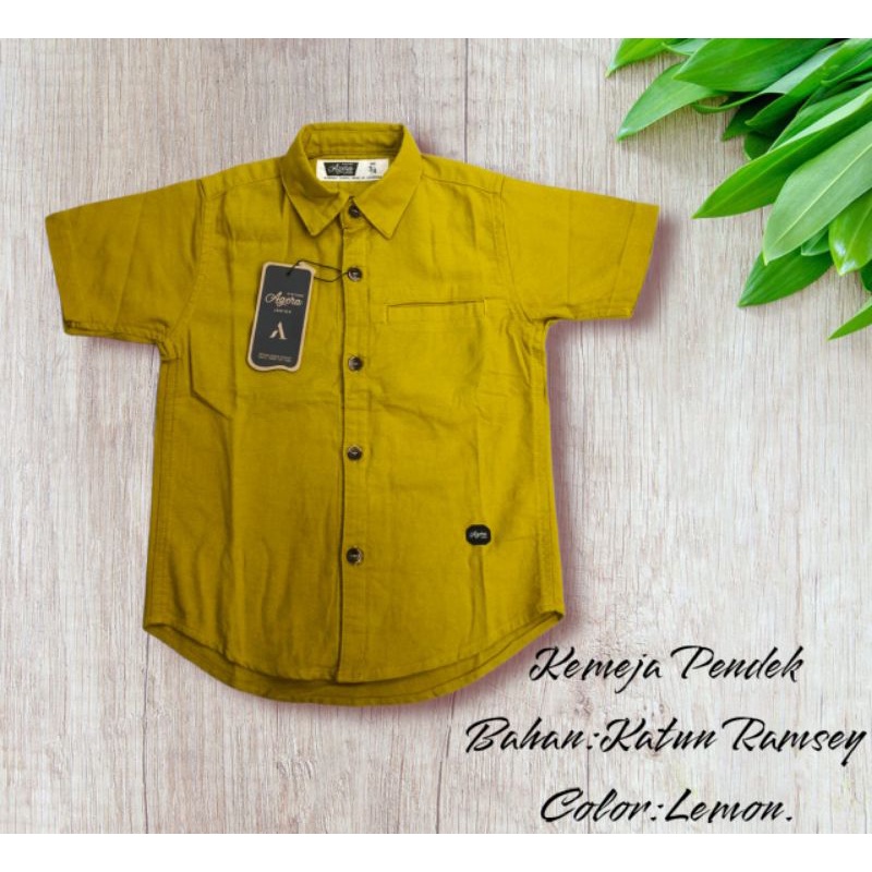 BAJU KEMEJA KERAH ANAK LAKI LAKI LENGAN PENDEK ORIGINAL TERBARU AGERA