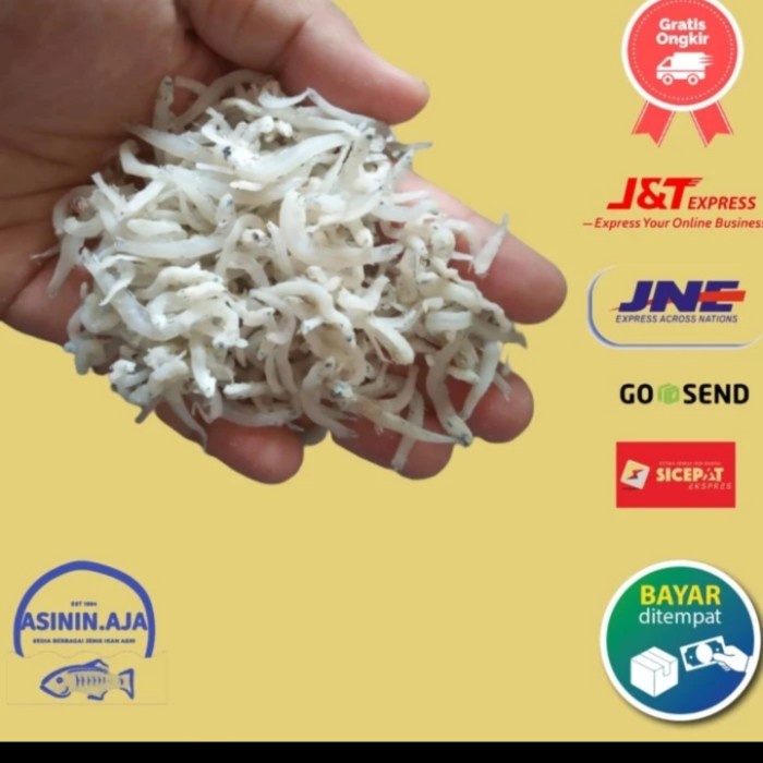 

Shumamedan Teri TAUGE NASI medan ASLI 500GRAM ORIGINAL ASLI