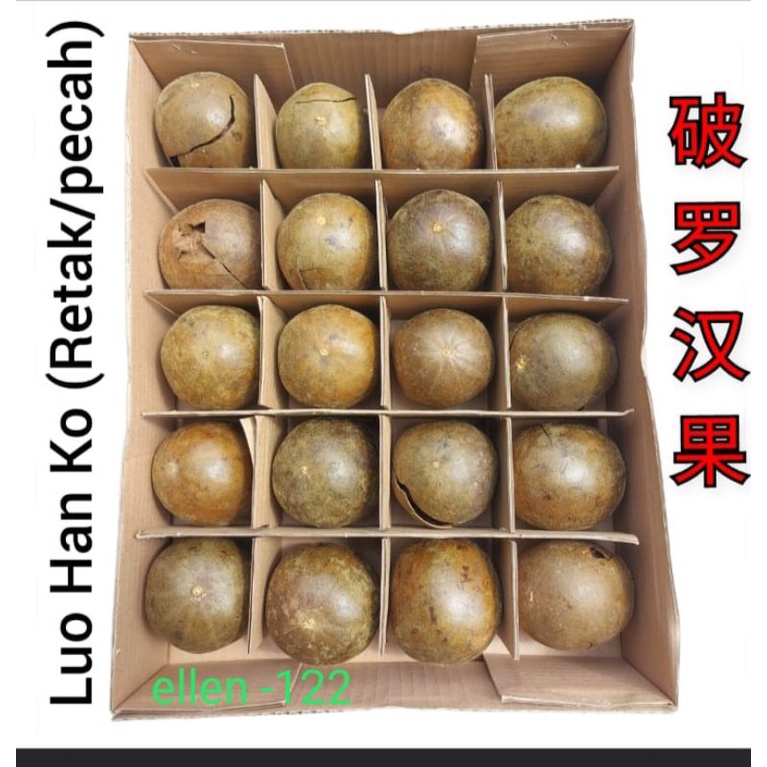 

Buah Lohanko 1 Box Isi 20 Buah Buah Lo Han Ko Lohanko 1 Box 中罗汉果 Buah Lohankuo Lo Han Ko Lohanguo Lo Han Guo Lohankuo Buah Lo Han Kuo Lohanko Luohanko Luohanguo Luo Han Guo Bukan Buah Lontar