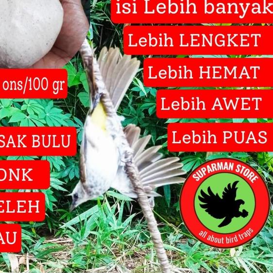 PULUT BURUNG KILOAN JEBAKAN BURUNG LEM BURUNG GETAH KARET JEBAK BURUNG