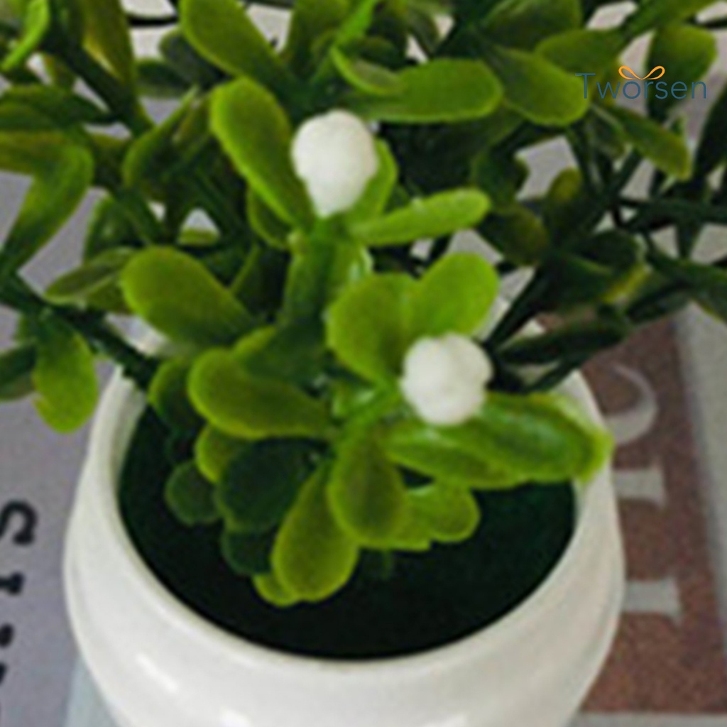Ornamen Tanaman Bunga Daun Hijau Bonsai Aloe Vera Buatan Bahan Plastik Untuk Dekorasi Kantor