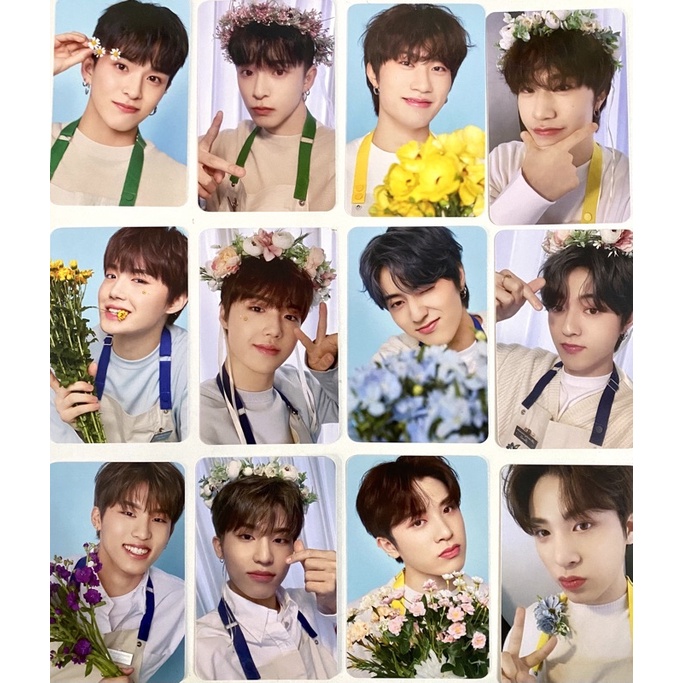 PC  TREASURE Blooming Tin Case [READY]