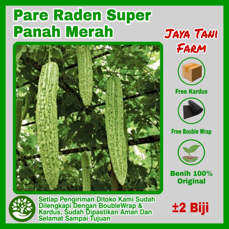2 Biji Benih Pare Raden Panah Merah Hibrida F1 / Benih Sayuran / Bibit Sayuran / Biji Sayuran / Beni