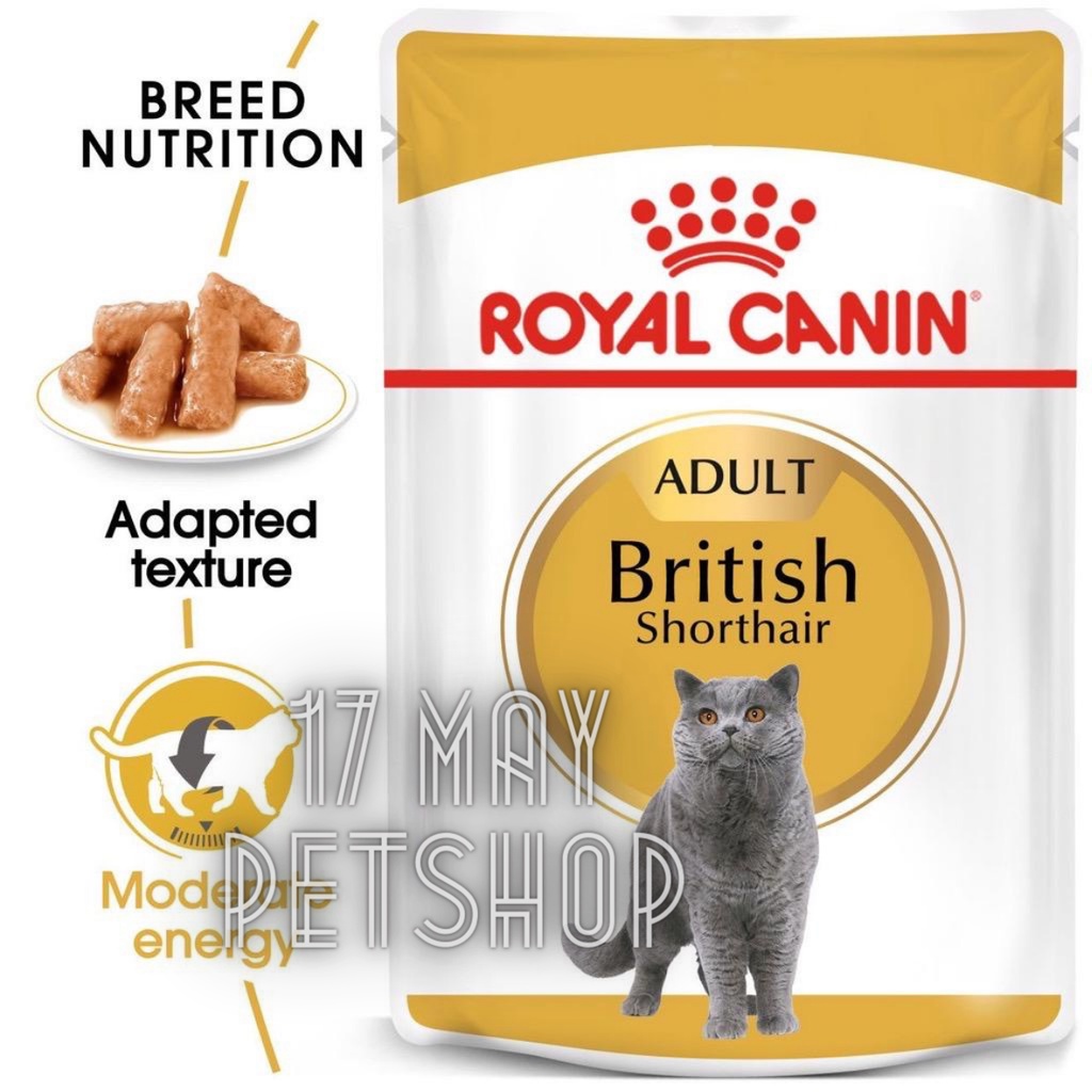 ROYAL CANIN Adult British Shorthair Makanan Kucing Dewasa Wet 85gr