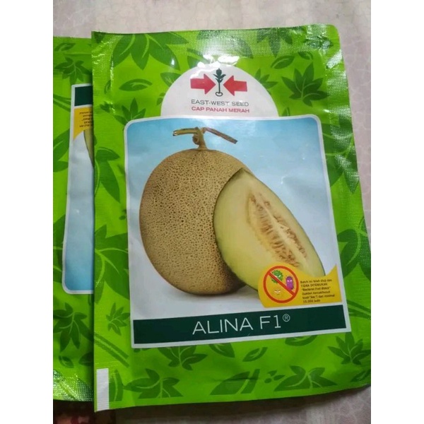 Benih Bibit Melon ALINA f1 cap panah merah 500 bitir