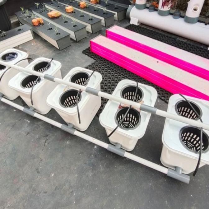 dutch bucket hidroponik - dutch bucket set isi 5 pc putih/merah