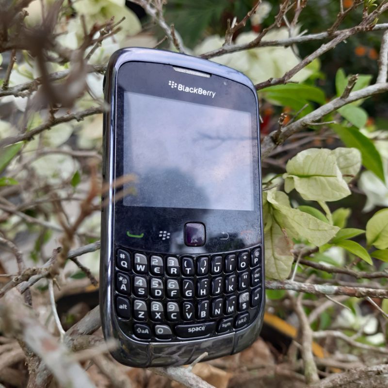 Blackberry 9300 3G  ( GEMINI 3G )