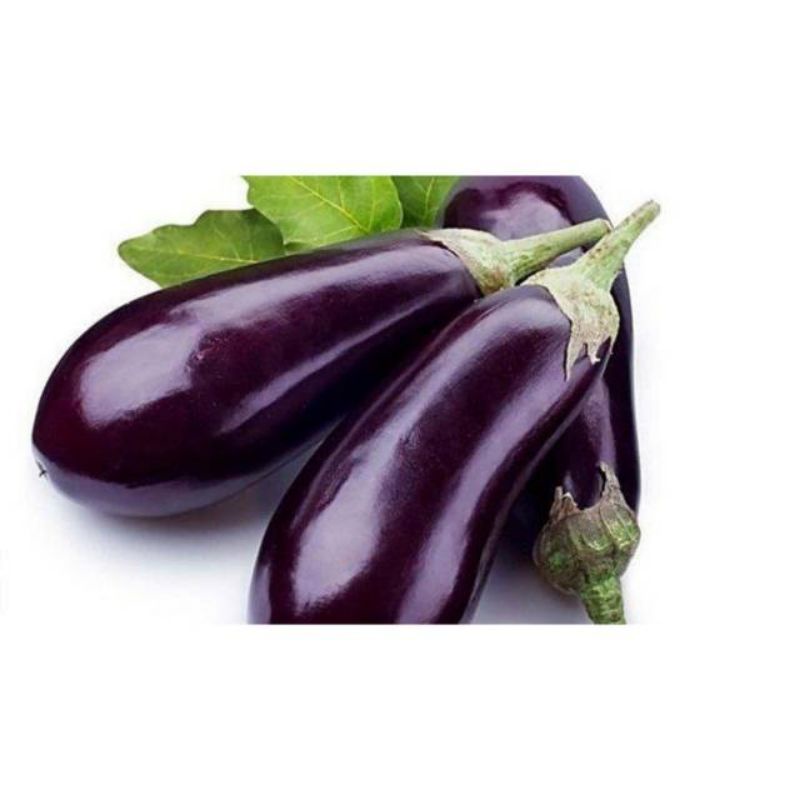 

terong ungu segar 500 gram