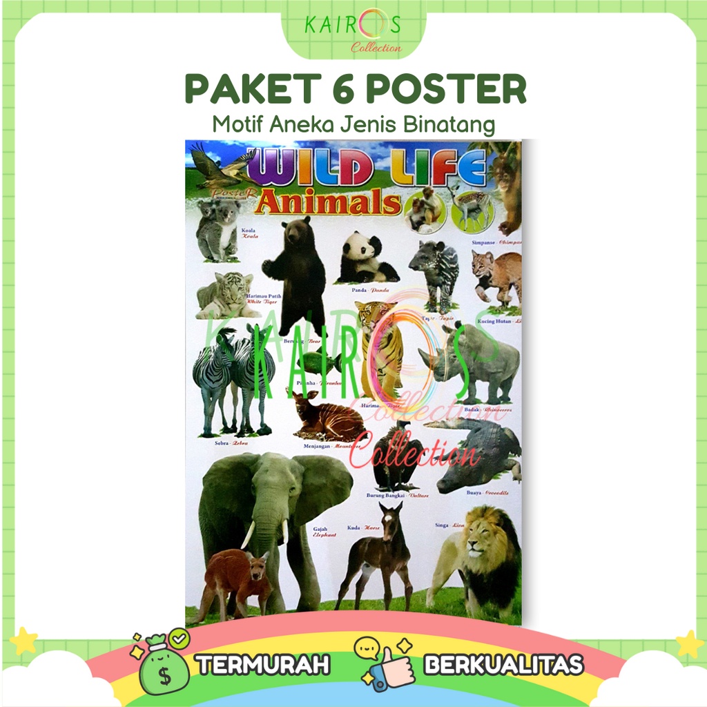 Poster Anak Edukasi Belajar Binatang Paket Isi 6 Pcs