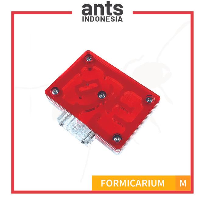 Formicarium M