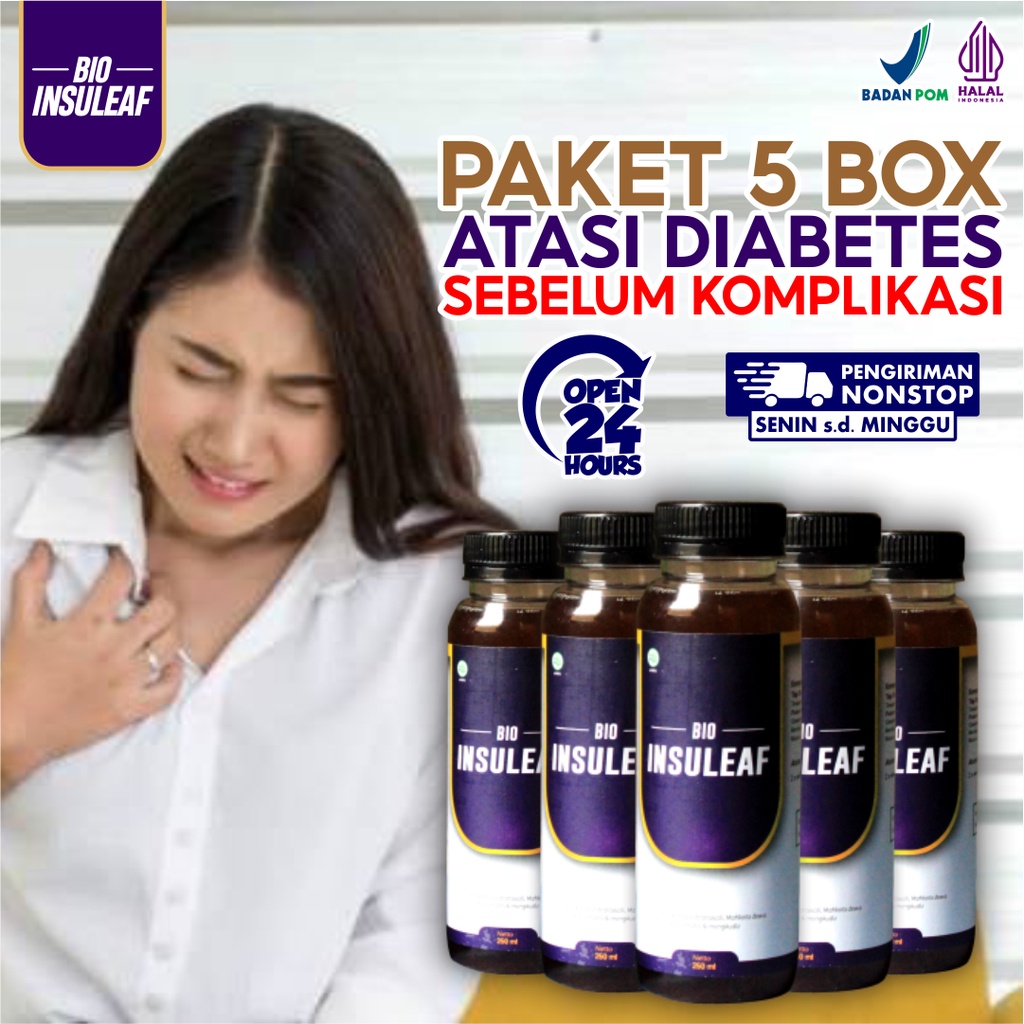 Jual Bio Insuleaf 5 Box Obat Herbal Alami Cocok Untuk Penderita