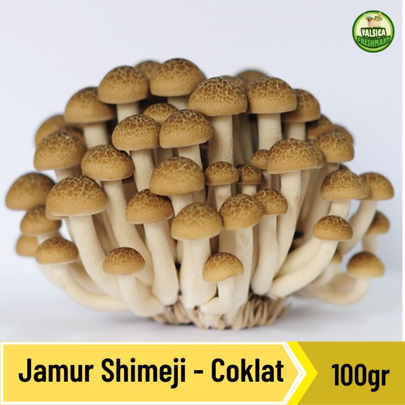 Jual Jamur Shimeji Coklat Shopee Indonesia