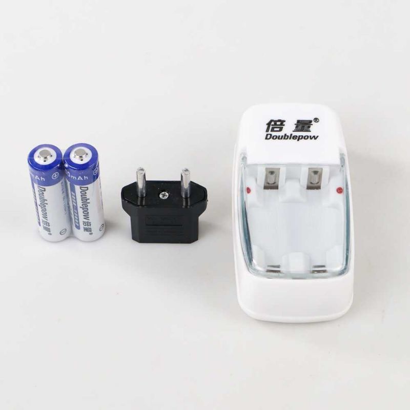 DOUBLEPOW Charger Baterai 2 slot AA/AAA with 2PCS AA 800mAh - DP-B01