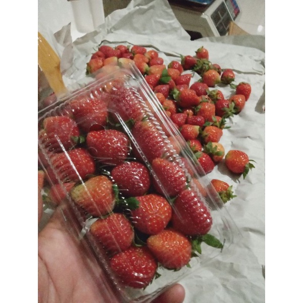 

strawbery fress 120g
