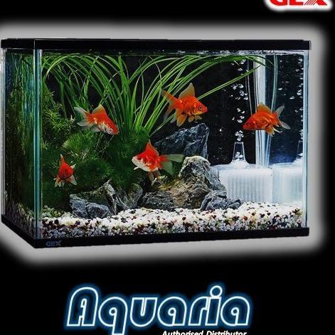 GEX Aquarium L