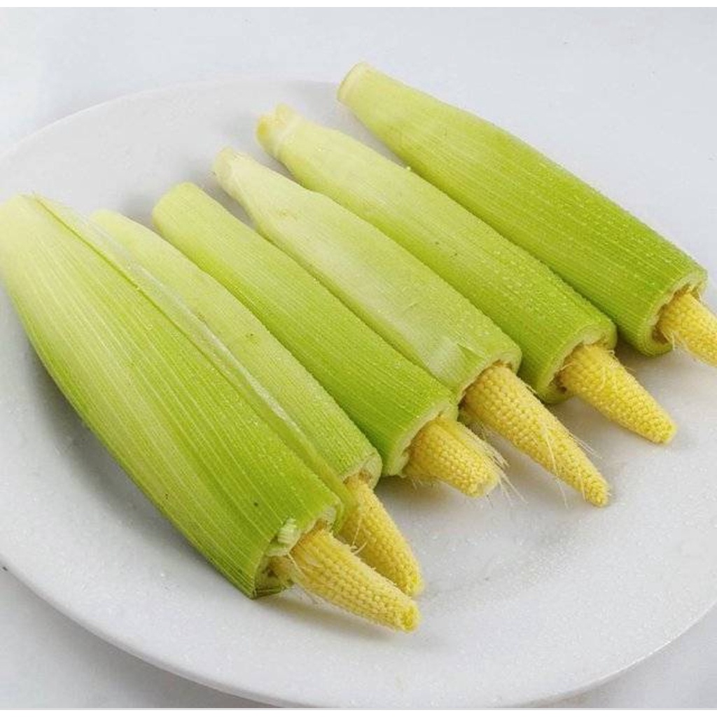 

JAGUNG MUDA JANTEN SAYURAN SEGAR SURABAYA