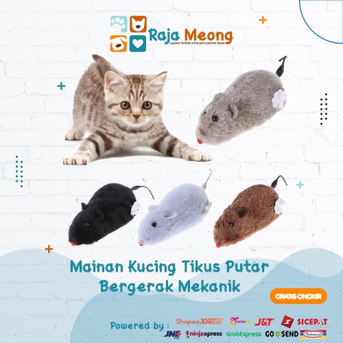 Mainan kucing tikus bergerak mekanik
