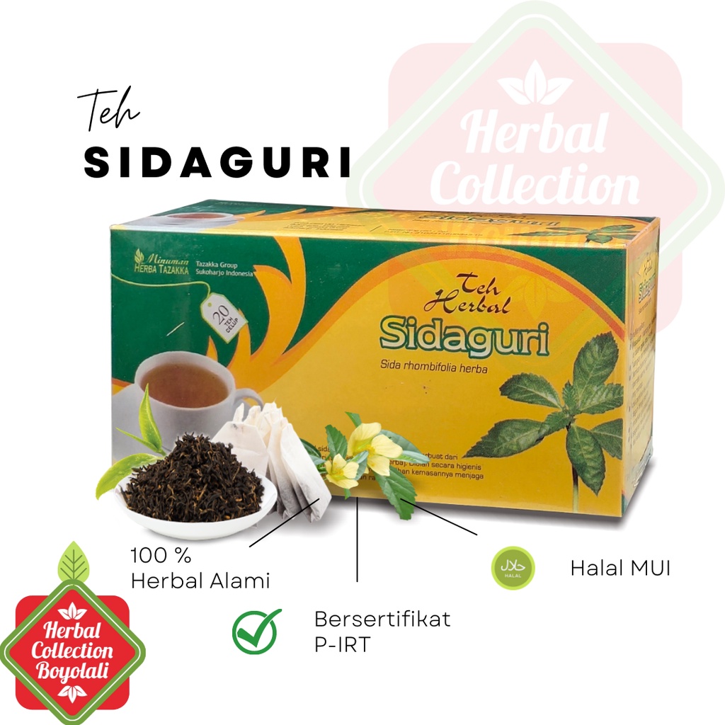 

Teh Sidaguri Tazakka isi 20kantung Teh Celup untuk mengatasi masalah Persendian sudah BPOM dan HALAL