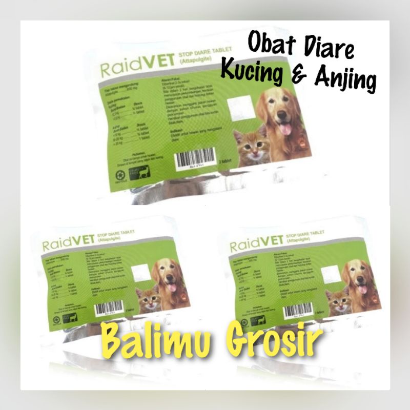 Obat Diare Kucing dan Anjing RAID ALL Tablet