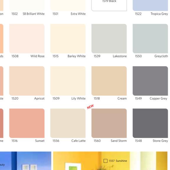 QLUC 5kg nippon paint