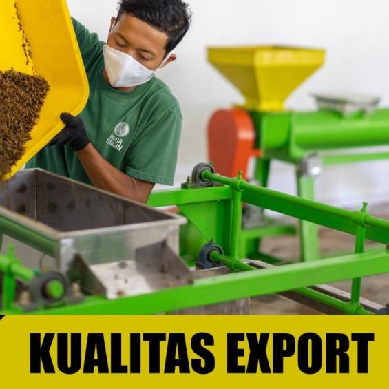 Maggot Nusantara Koi 500 Gr