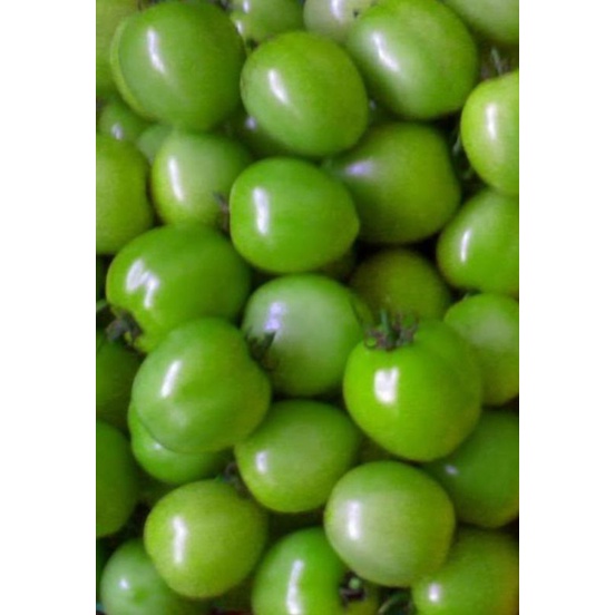 

Tomat hijau segar murah 1KG