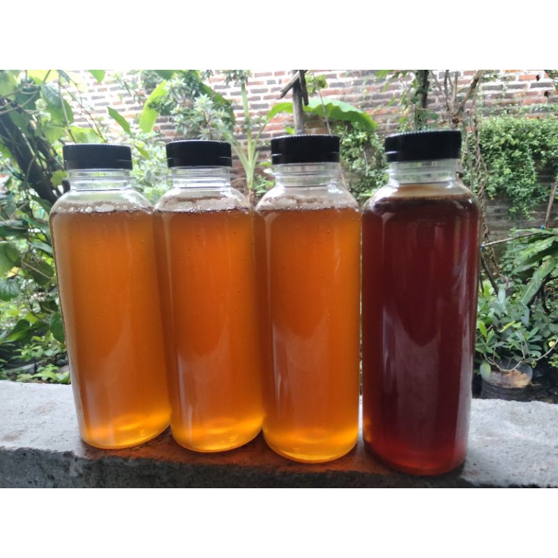 

Madu apis dorsata (tawon Gung) botol ukuran 250ml