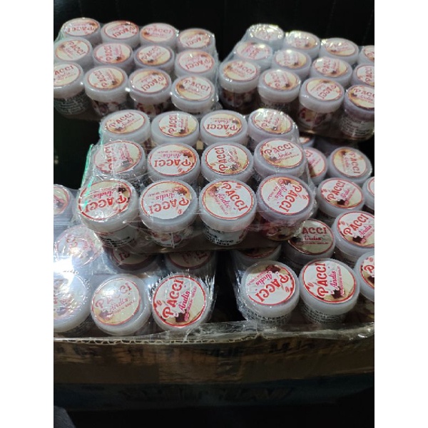 Pacci Andis Maroon 1 lusin