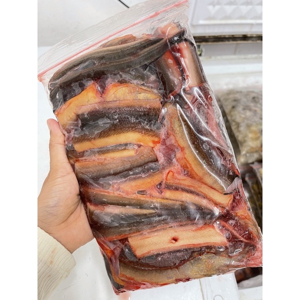 

ikan belut bersih CUMA BISA DIAMBIL SENDIRI KAKA