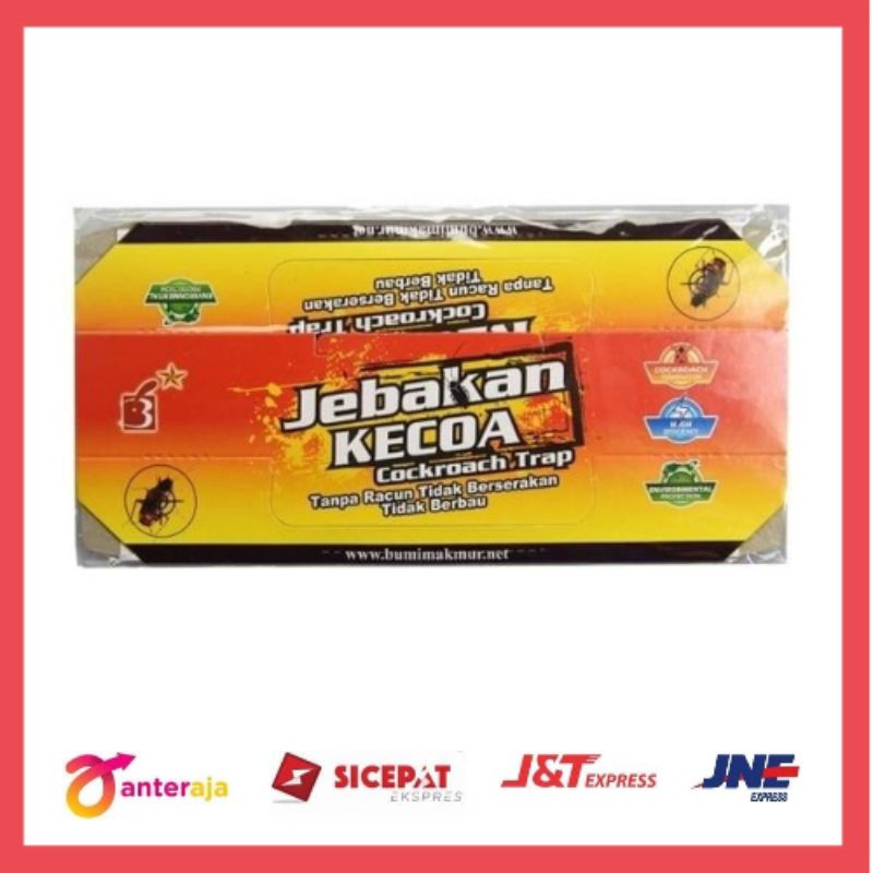 JEBAKAN KECOA / PERANGKAP KECOA