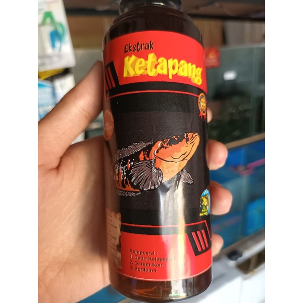 Ekstra Ketapang