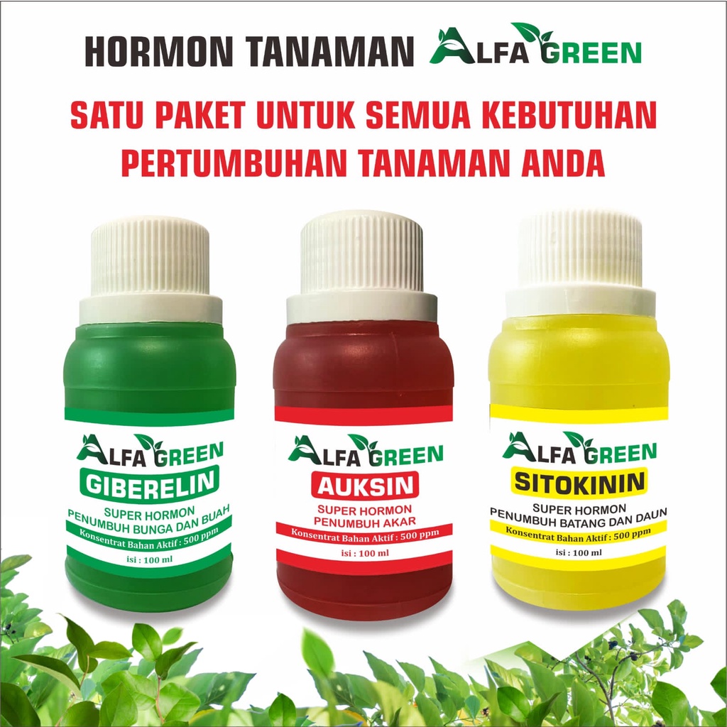 1 Paket Perangsang Buah Daun Bunga Akar dan Batang Tanaman Mangga Kelengkeng Durian Cabe Anggur Alpu