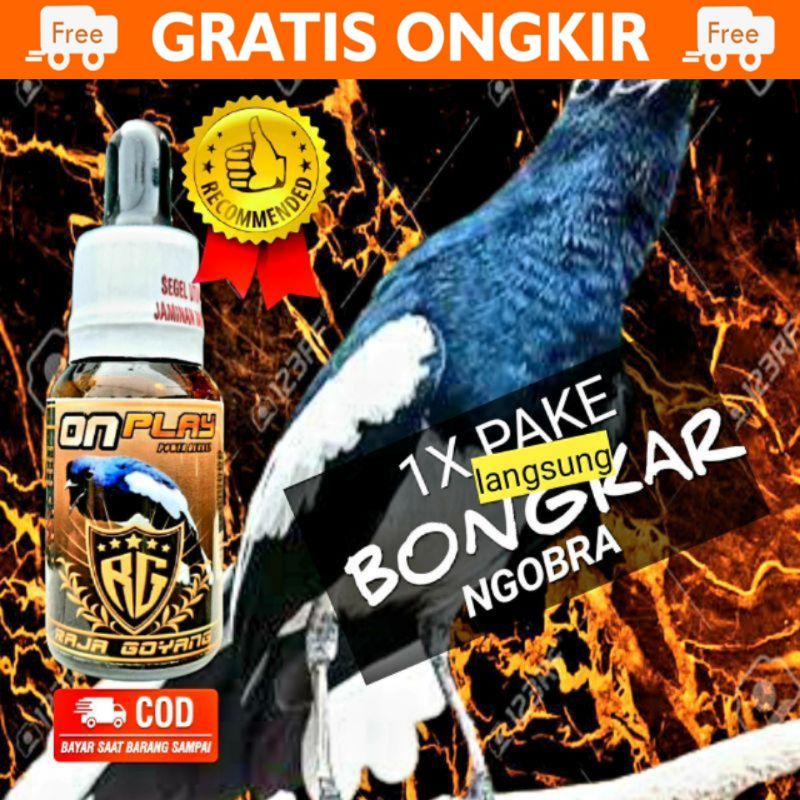 ONPLAY RG ON PLAY RAJA GOYANG VITAMIN BURUNG KACER DOPING KACER SUPLEMEN KACER JUARA BIKIN GACOR
