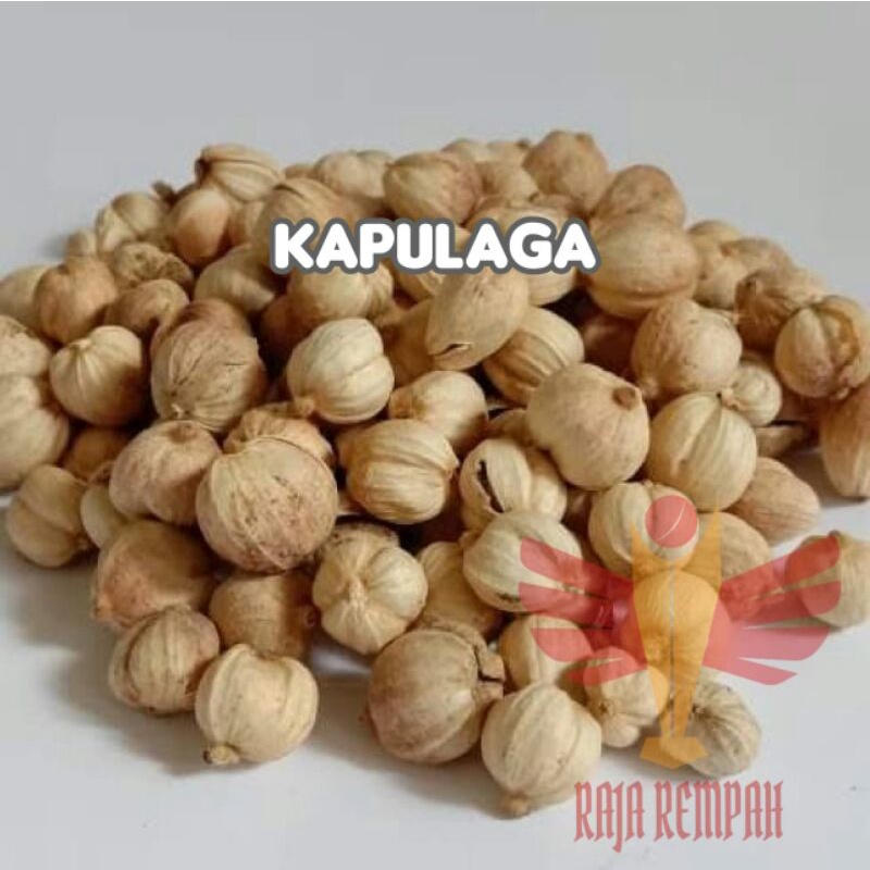 

Kapulaga 500gr Kapulaga Kering Kapolaga Jawa