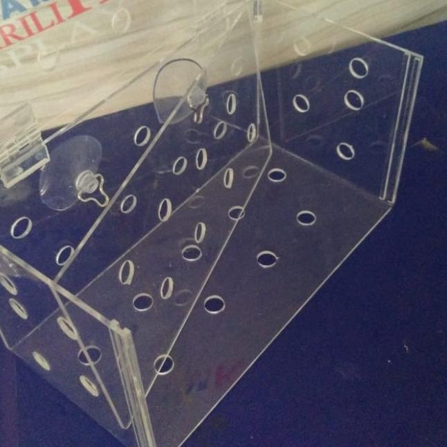 soliter aklamasi ikan / box karantina