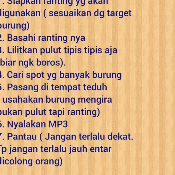 PULUT BURUNG KILOAN JEBAKAN BURUNG LEM BURUNG GETAH KARET JEBAK BURUNG