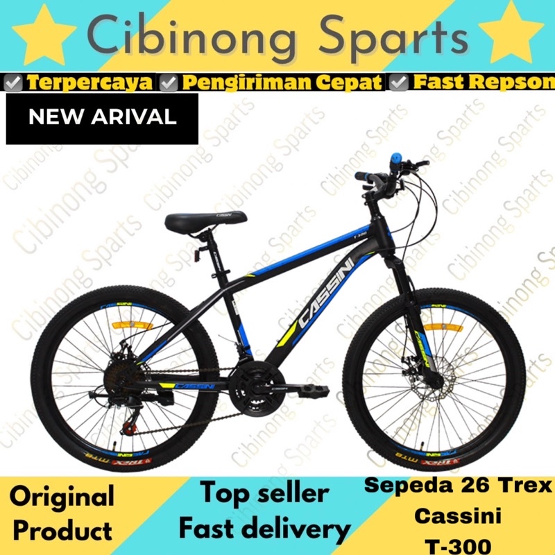 Sepeda Gunung MTB 24 Cassini 21Speeds Cakram New Original By Trex