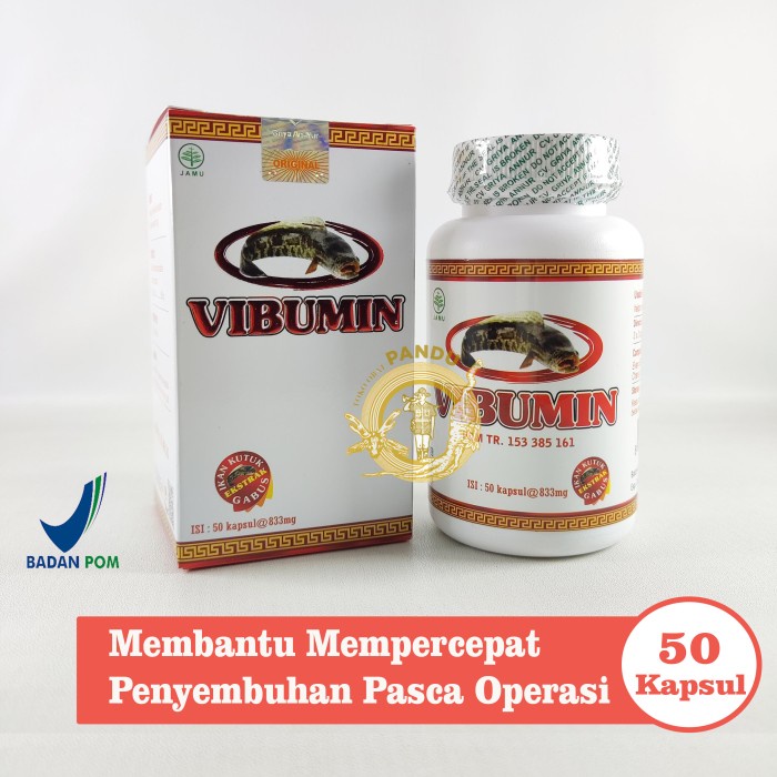 KAPSUL IKAN GABUS / VIBUMIN KAPSUL / DAYA TAHAN TUBUH / PASCA OPERASI