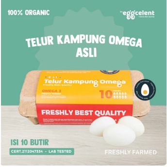 

Telur Ayam Kampung Omega Asli 100% Organik