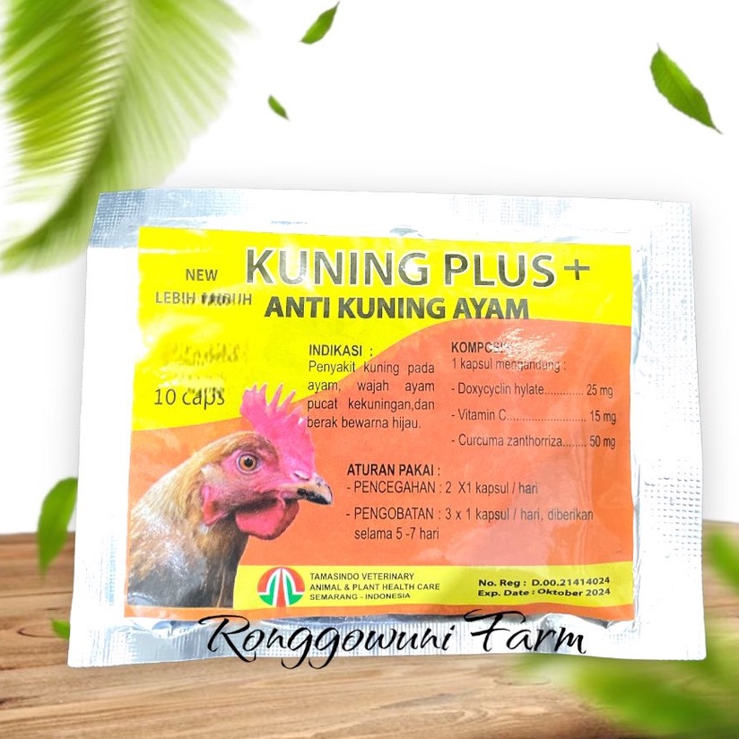 KUNING PLUS - Anti Kuning Ayam