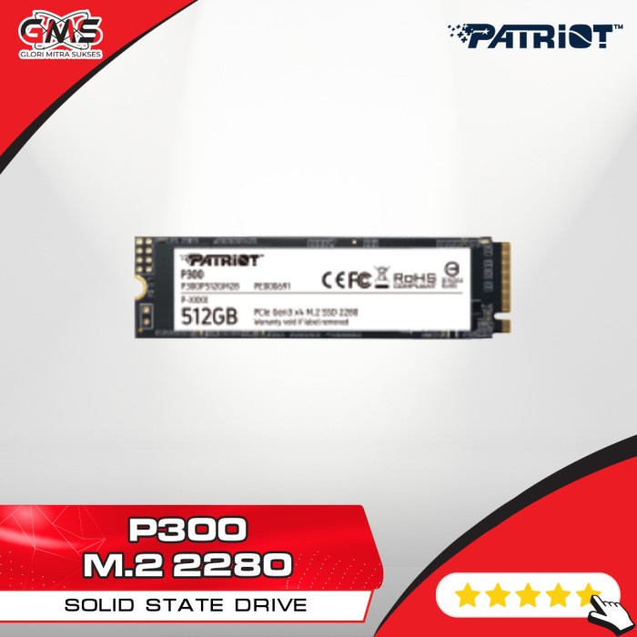 Patriot P300 M.2 2280 512 GB / SSD M.2 512GB / SSD Patriot M.2 512 GB