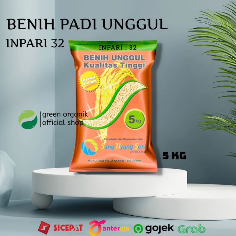 BENIH PADI INPARI 32 SHS BENIH PRIMA SANG HYANG SERI BENIH PADI