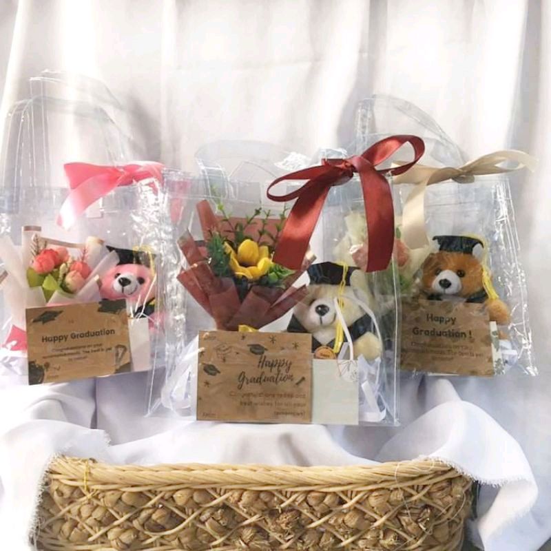 [MOCHY] wisuda edition gift wisuda boneka taddy bear tas mika transparant 1 paket gift box hadiah wi