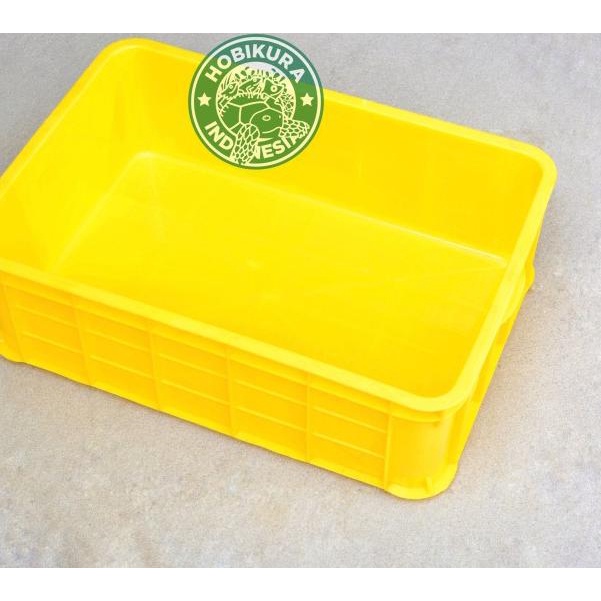 Kontainer Box / Kandang Kura - Kura Darat / Torto / Sulcata / Pardalis - Kuning