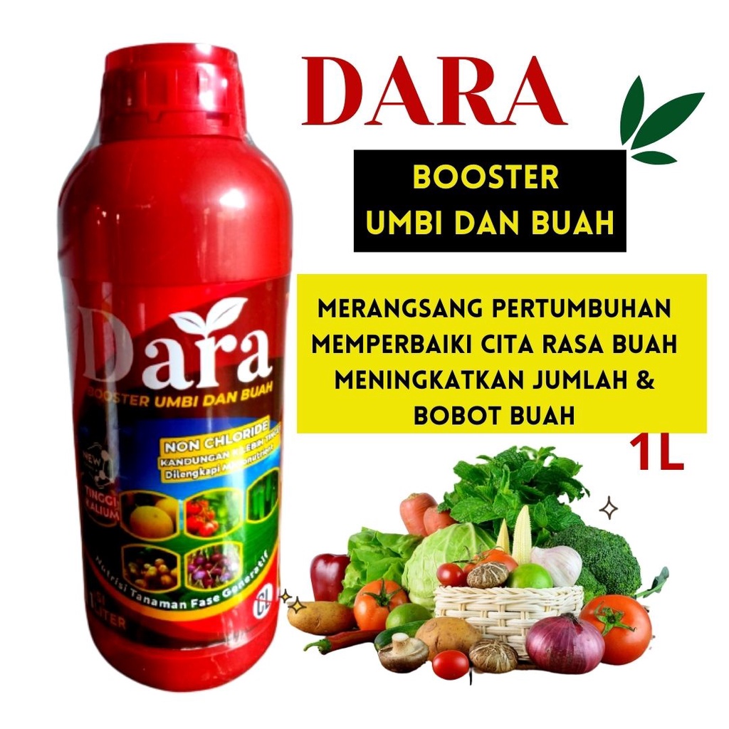 Pupuk Cair Untuk Tanaman dan Buah, Pupuk Kalium Cair Untuk Cabe, Pupuk DARA Atasi Kerdil, Pupuk Npk