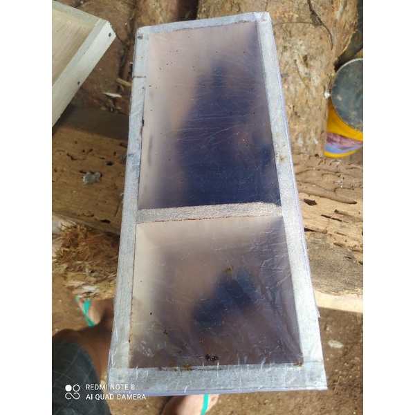 

jual koloni lebah klanceng