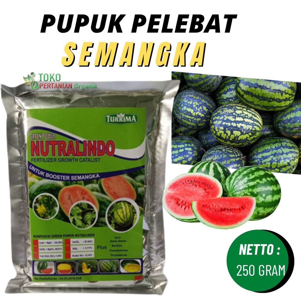 Pupuk semangka kuning, Booster NUTRALINDO semangka non biji berbuah lebat, Nutrisi semangka inul