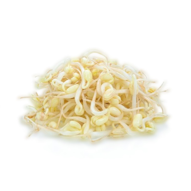

( PER 1 ONS ) ~ KECAMBAH / TOKOLAN / TOGE SAYUR SEGAR