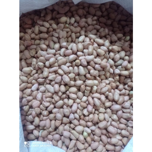 

Kacang tanah kupas bersih 250 gr