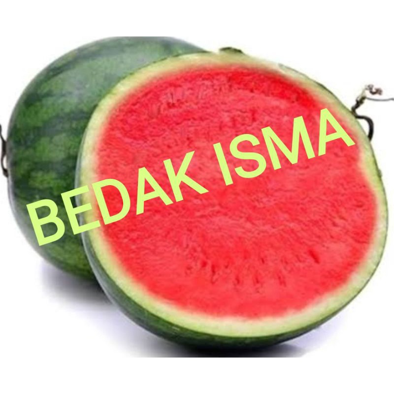 

SEMANGKA MERAH TANPA BIJI